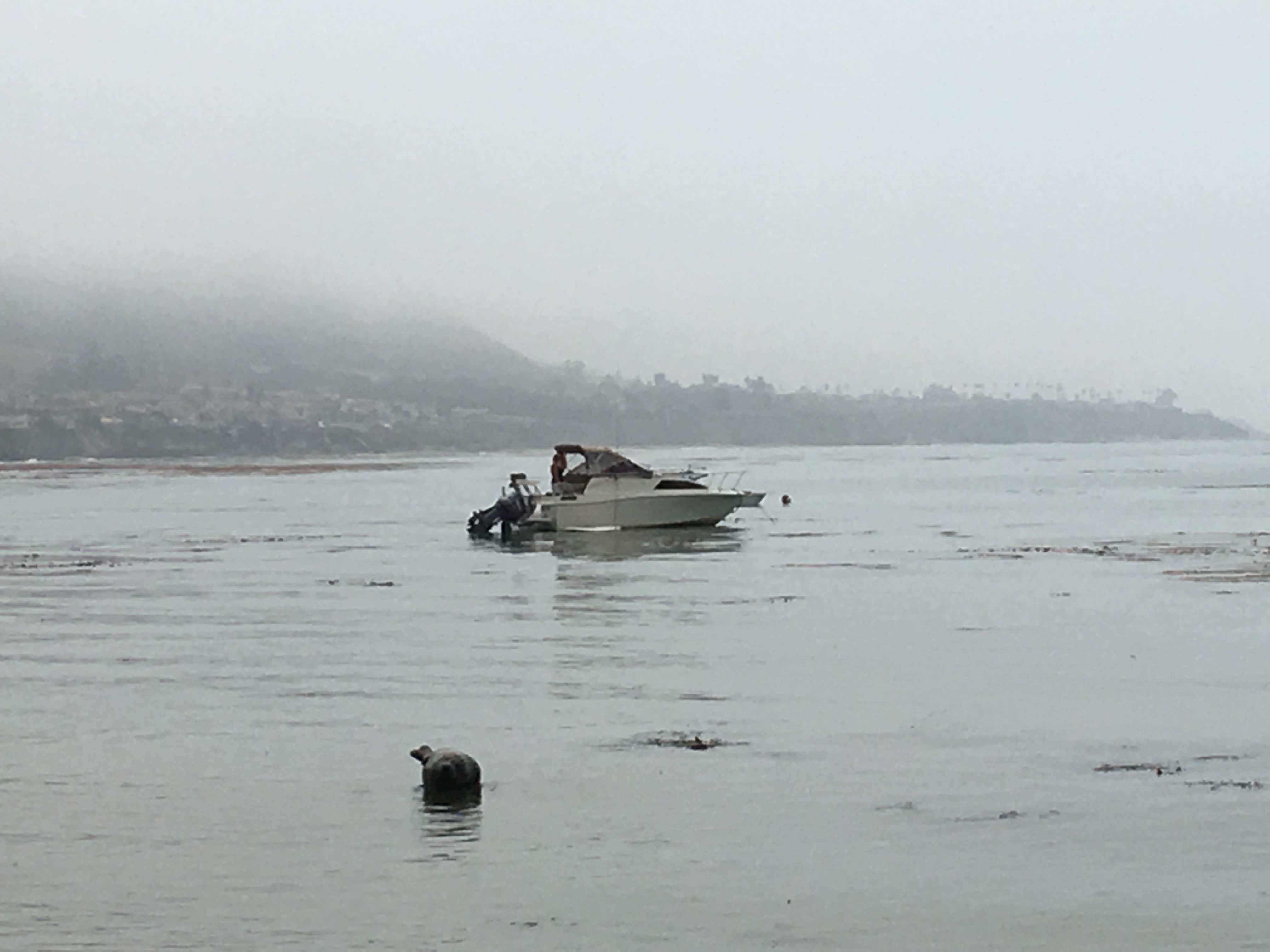 Camper-submitted photo at San Simeon Creek Campground — Hearst San Simeon State Park near Cambria, CA