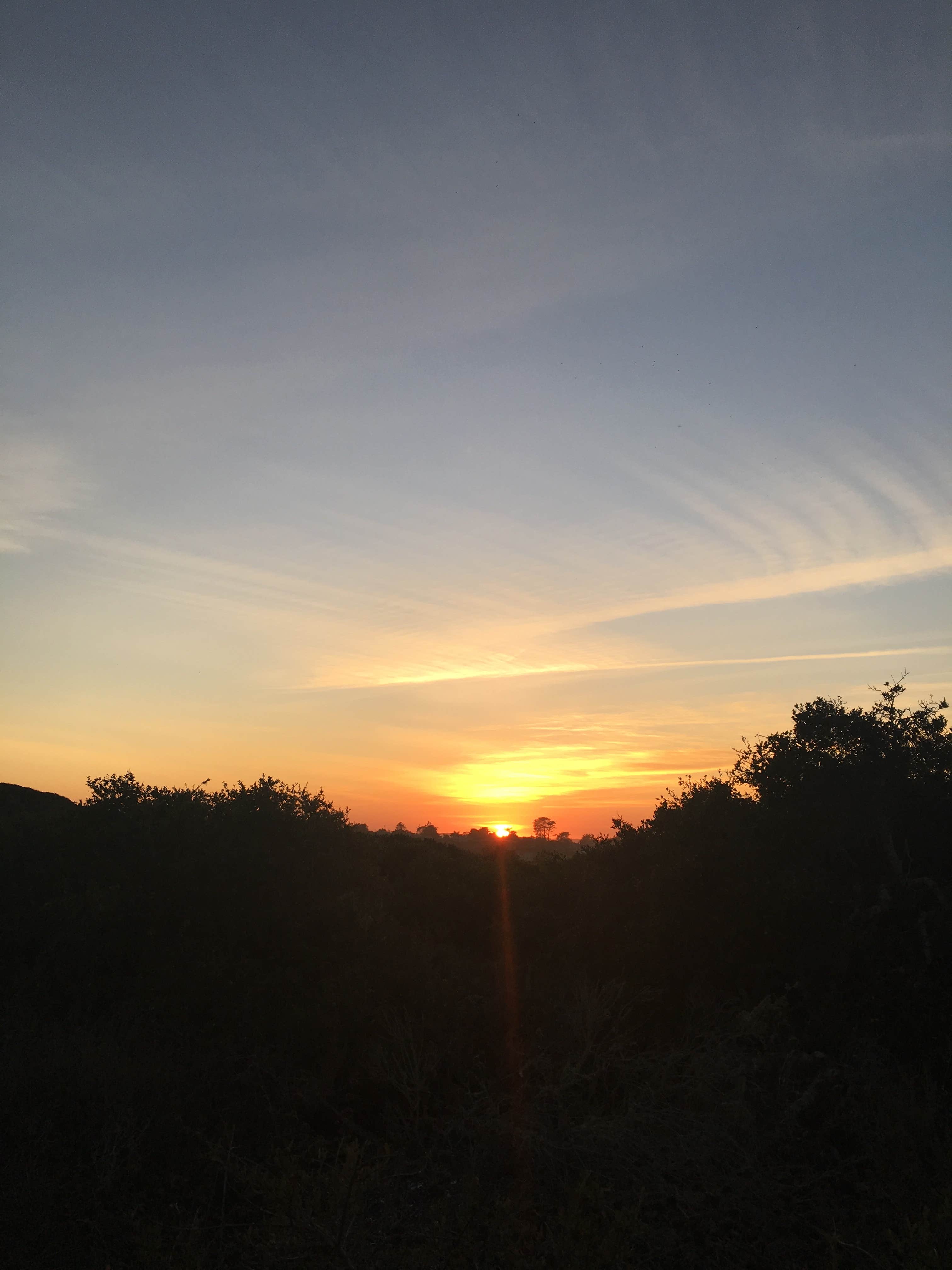 Camper-submitted photo at San Simeon Creek Campground — Hearst San Simeon State Park near Cambria, CA