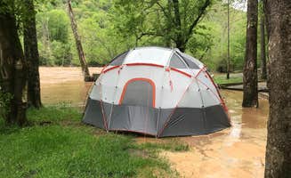 Dave V.'s photo at Grandview Sandbar Campground — New River Gorge National Park and Preserve near Danese, WV