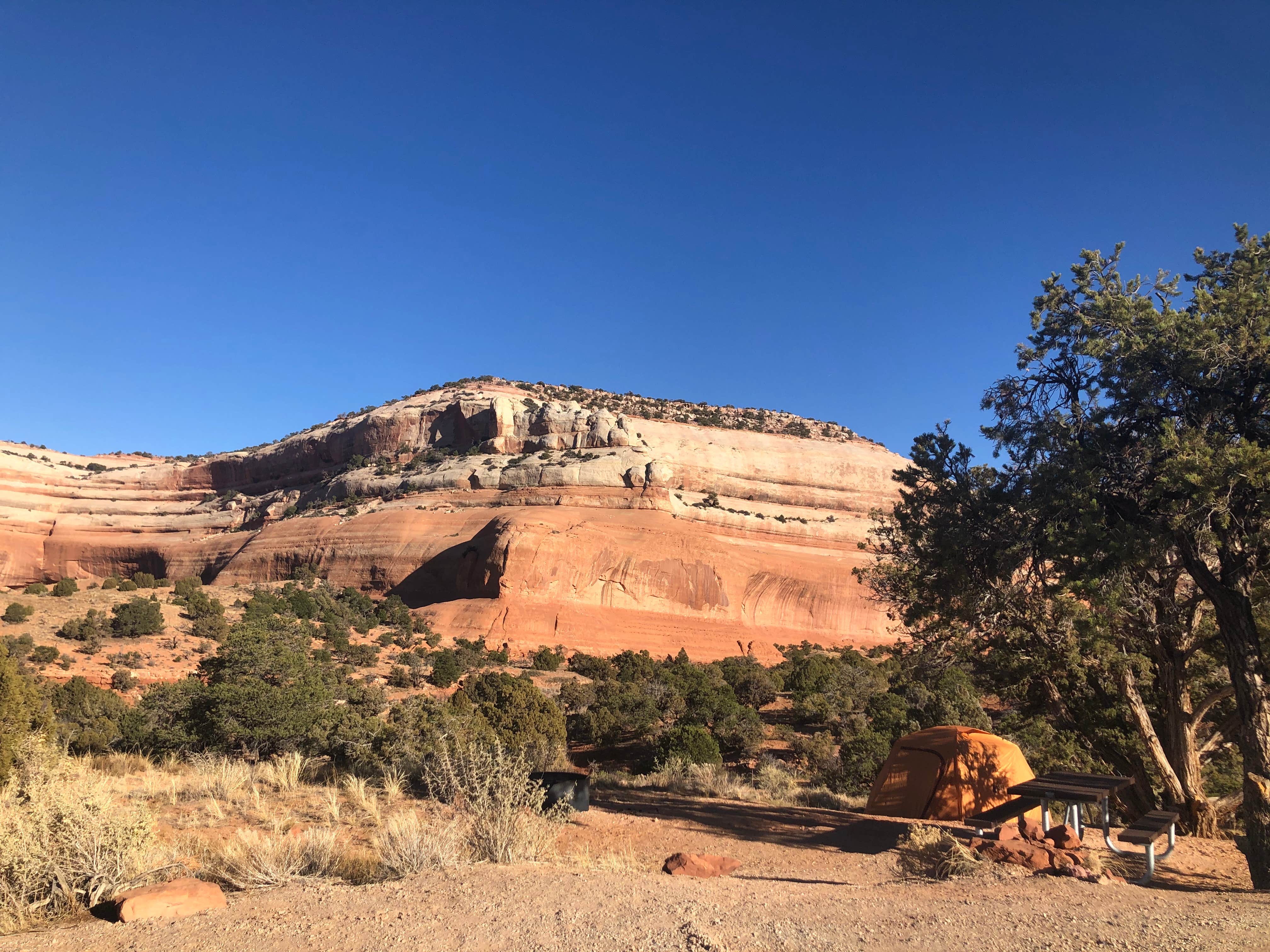 Camper-submitted photo at Windwhistle Campground near La Sal, UT