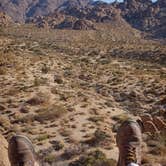 Review photo of Indian Cove Campground — Joshua Tree National Park by Rey V., December 27, 2020