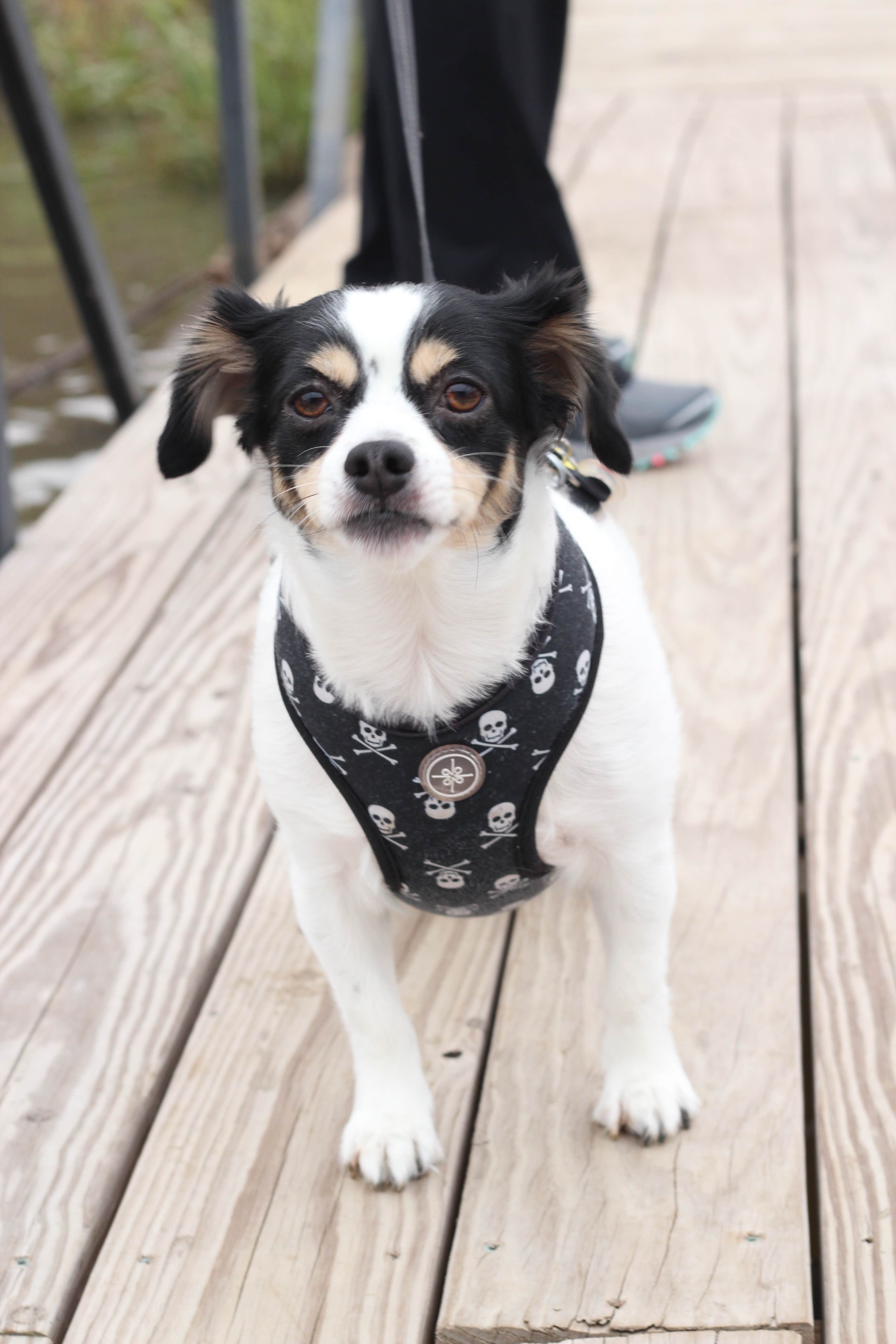 Camper-submitted photo at Last Resort near Warsaw, MO