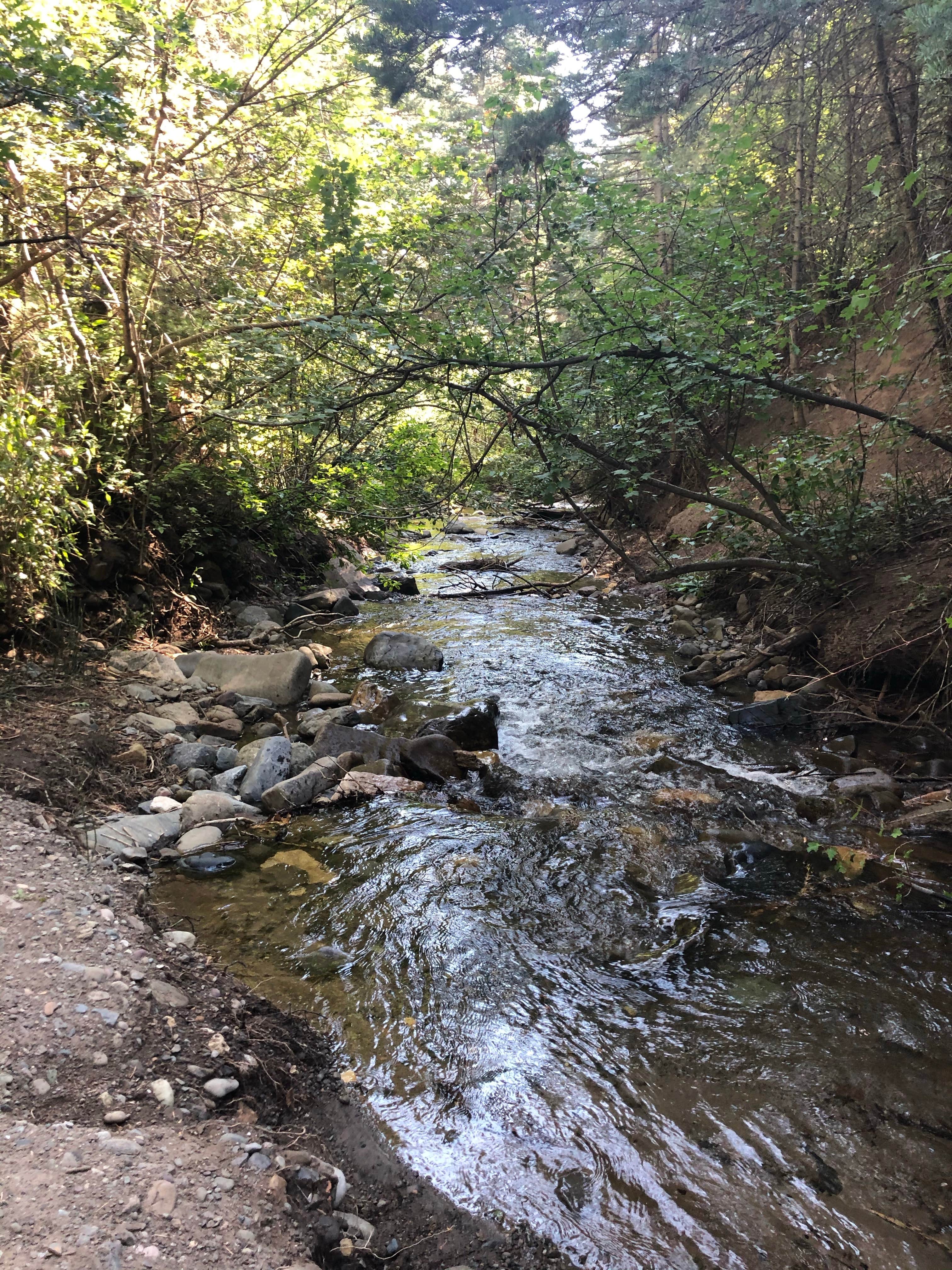 Camper-submitted photo at Cutty's Resort - Hayden Creek near Mosca, CO