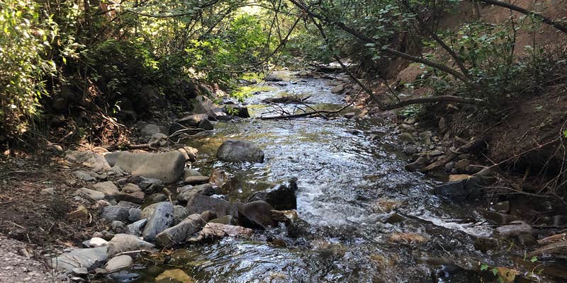 Camper submitted image from Cutty's Resort - Hayden Creek