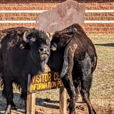 Review photo of Wild Horse Equestrian Area — Caprock Canyons State Park by Shari  G., December 27, 2020