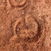 Review photo of Wild Horse Equestrian Area — Caprock Canyons State Park by Shari  G., December 27, 2020