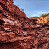 Review photo of Wild Horse Equestrian Area — Caprock Canyons State Park by Shari  G., December 27, 2020