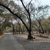Review photo of Ritchey Creek Campground — Bothe-Napa Valley State Park by robert S., December 27, 2020