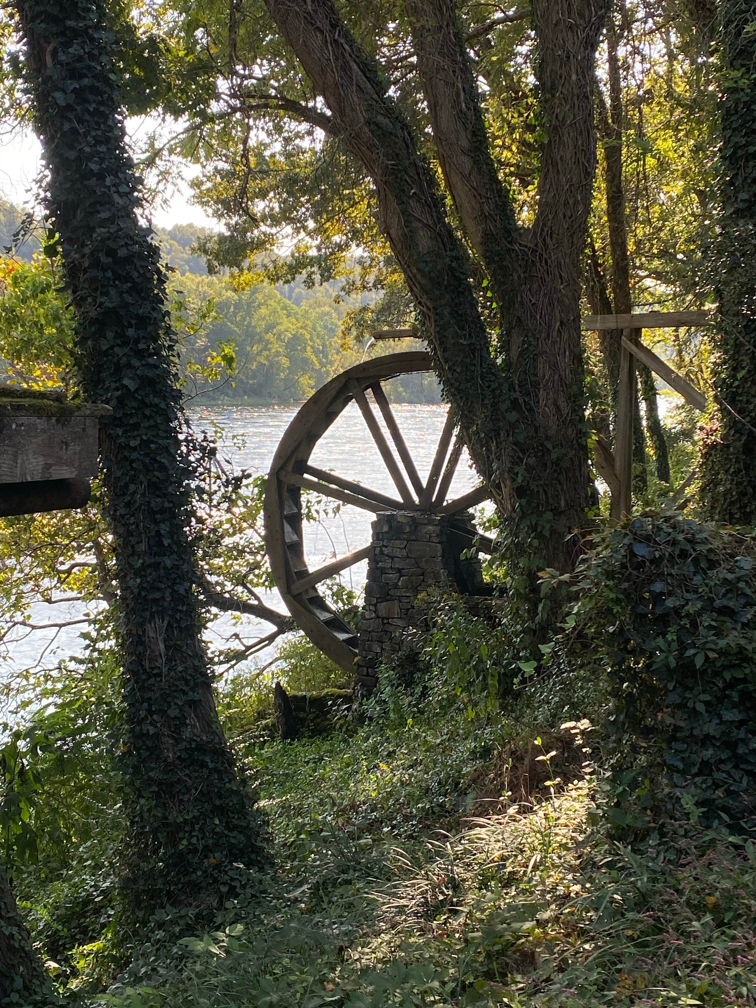 Camper-submitted photo at Gaston's White River Resort Cabins near Lakeview, AR