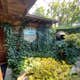 Gaston's White River Resort Cabins