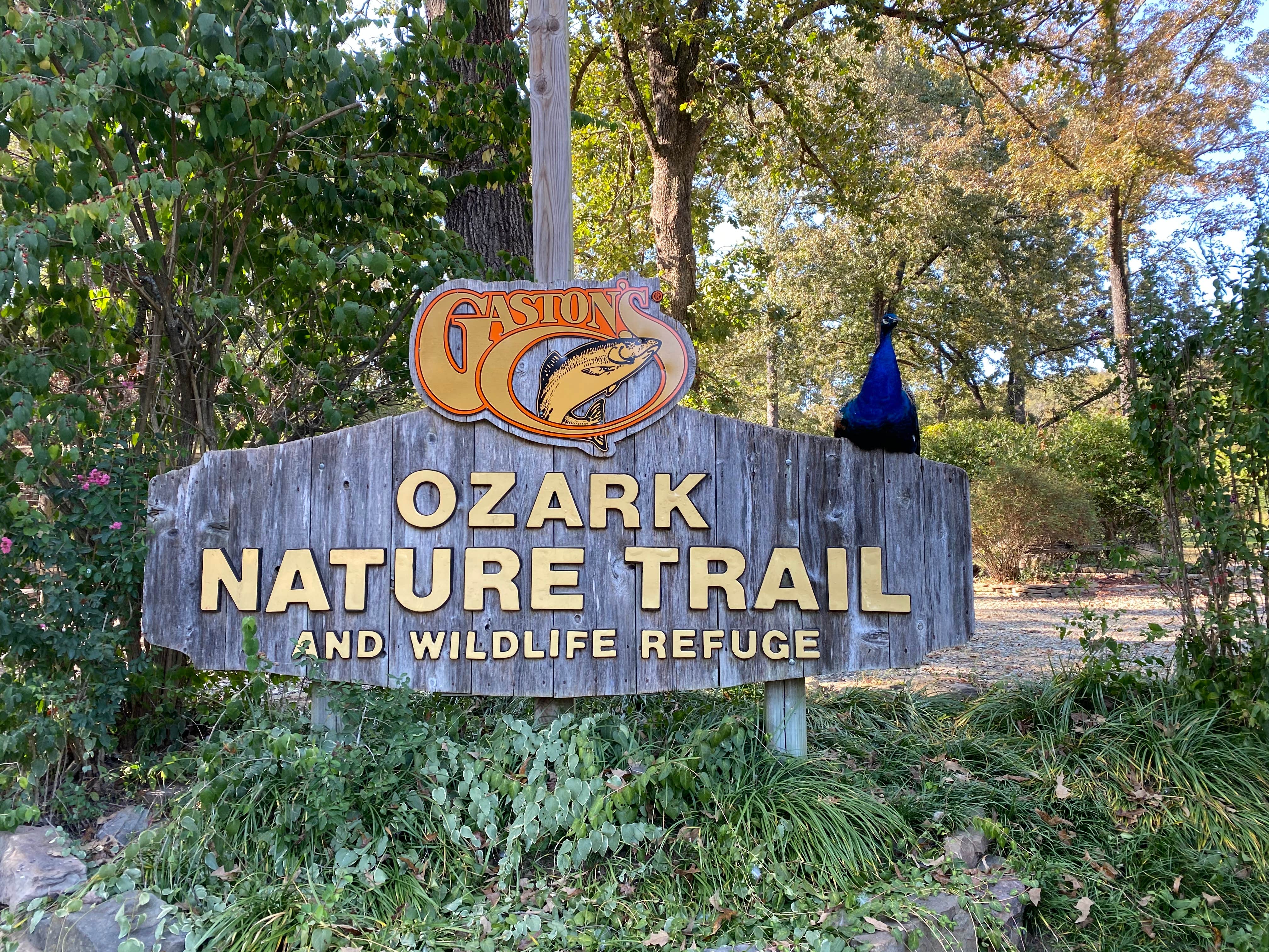 Camper submitted image from Gaston's White River Resort Cabins - 3