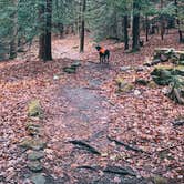 Review photo of Coopers Rock State Forest by Desireé , December 27, 2020