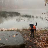 Review photo of Coopers Rock State Forest by Desireé , December 27, 2020