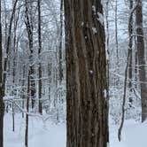 Review photo of Coopers Rock State Forest by Desireé , December 27, 2020