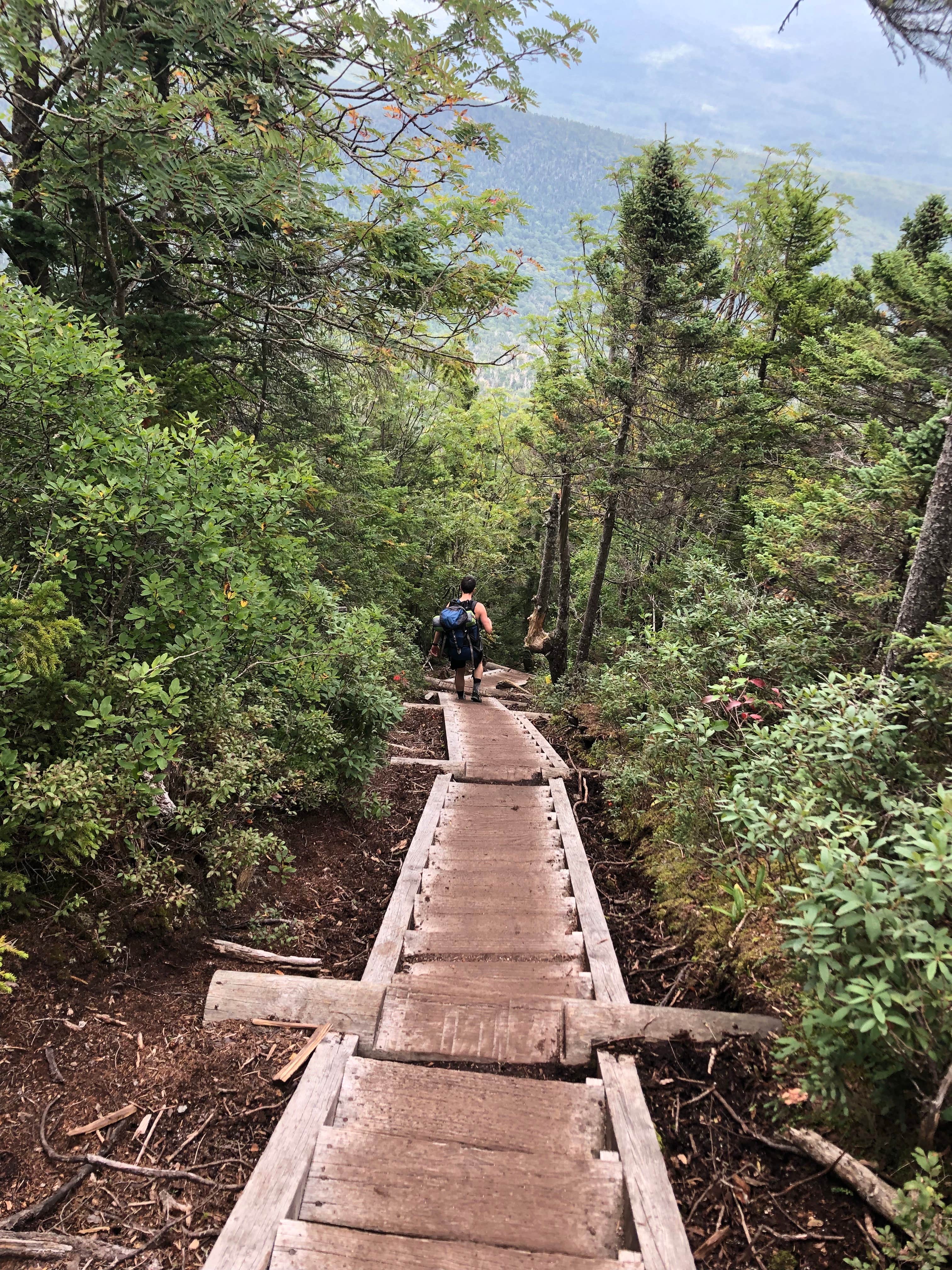 Camper submitted image from Guyot Shelter - Dispersed Camping - 3