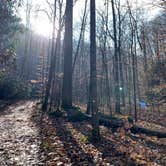 Review photo of Glade Creek Campground — New River Gorge National Park and Preserve by Desireé , December 27, 2020