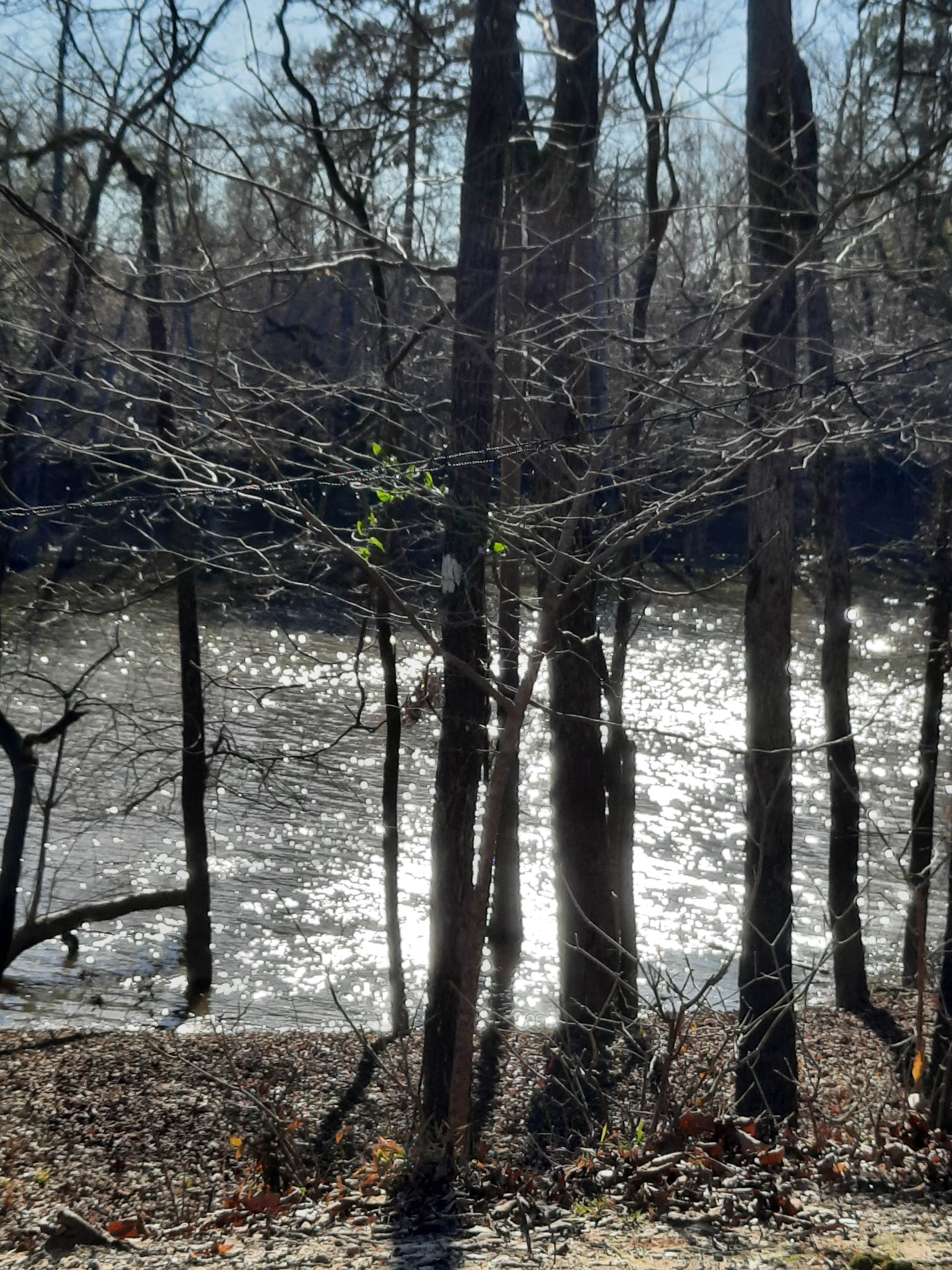 Camper-submitted photo at Moro Bay State Park Campground near Damascus, AR