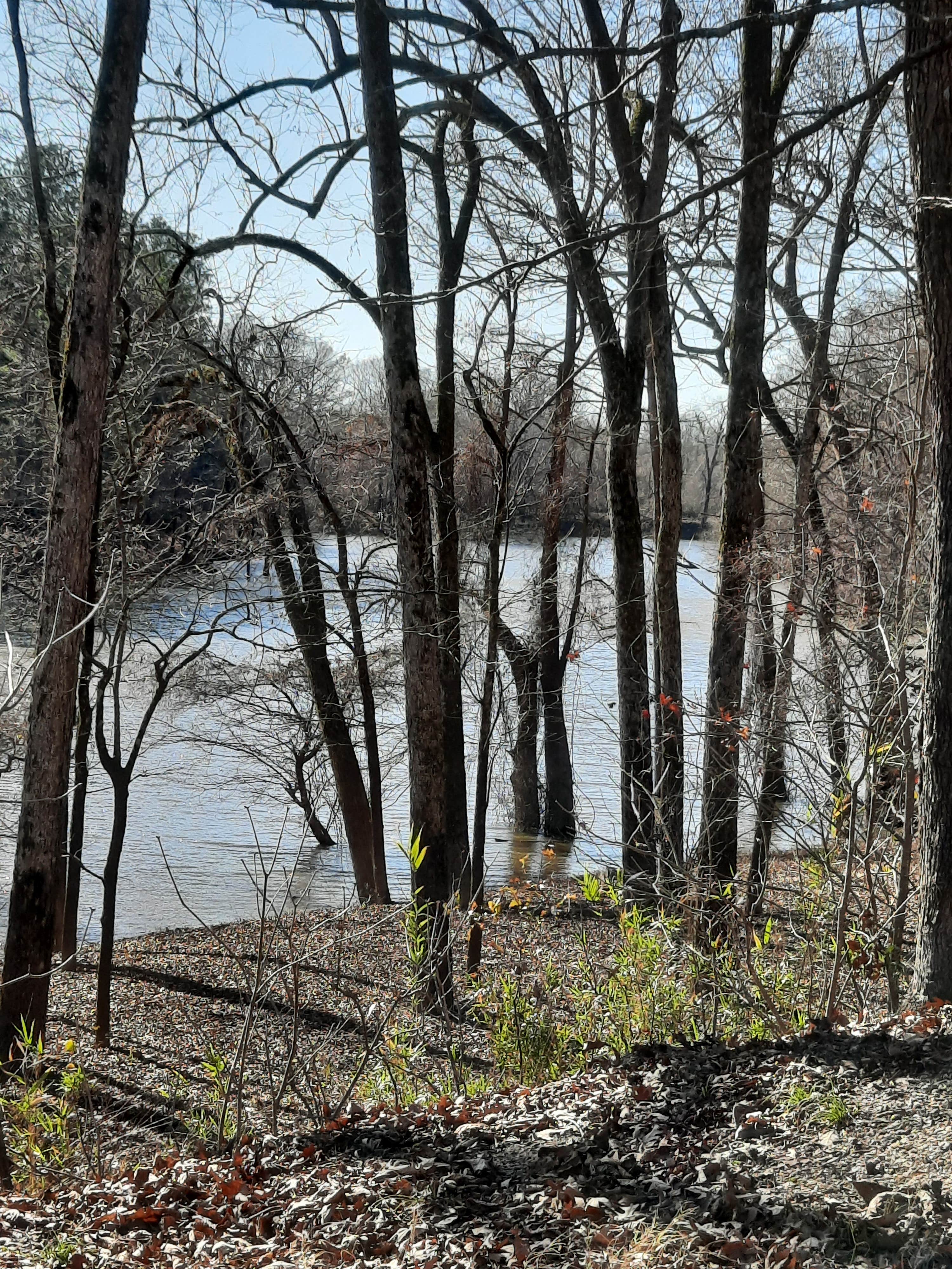 Camper-submitted photo at Moro Bay State Park Campground near Junction City, AR
