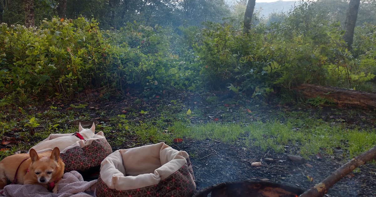 Mile High Campground — Great Smoky Mountains National Park