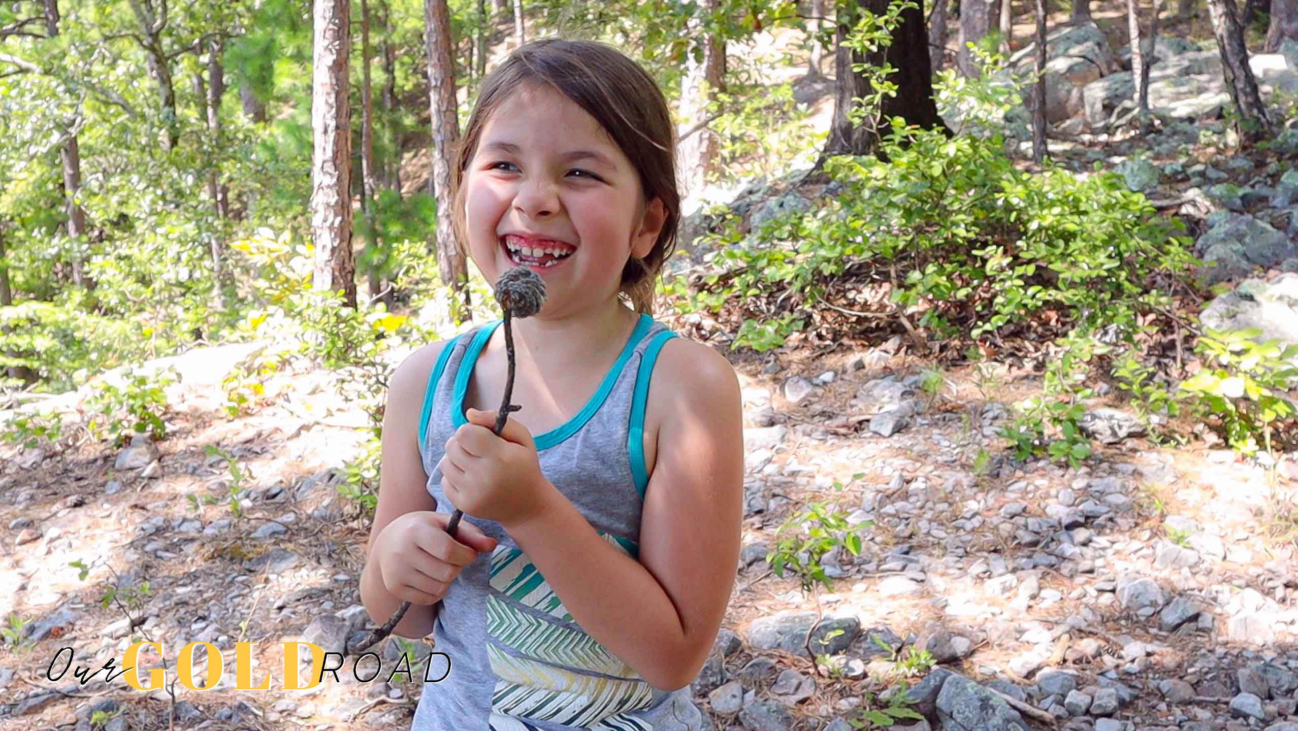 Camper-submitted photo at Lake Ouachita State Park Campground in Arkansas