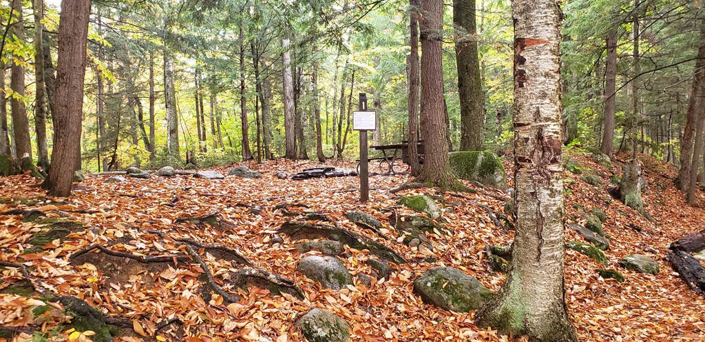 Camper-submitted photo at Fourth Iron Campground near Ashland, NH