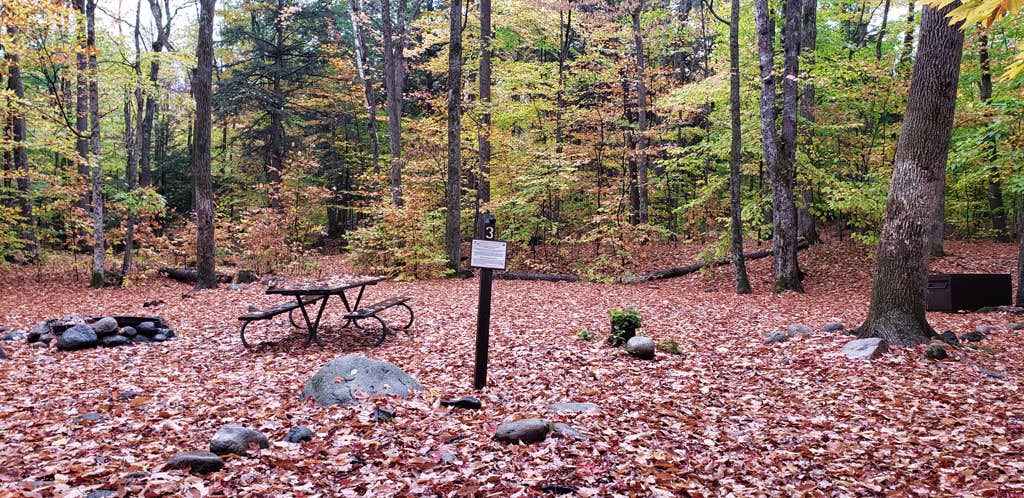 Camper-submitted photo at Fourth Iron Campground near Ashland, NH