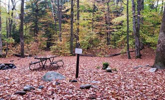 Camping near Dry River — Crawford Notch State Park: Fourth Iron Campground, Bartlett, New Hampshire