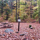 Review photo of Fourth Iron Campground by Jean C., December 28, 2020