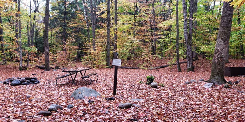 Camper submitted image from Fourth Iron Campground