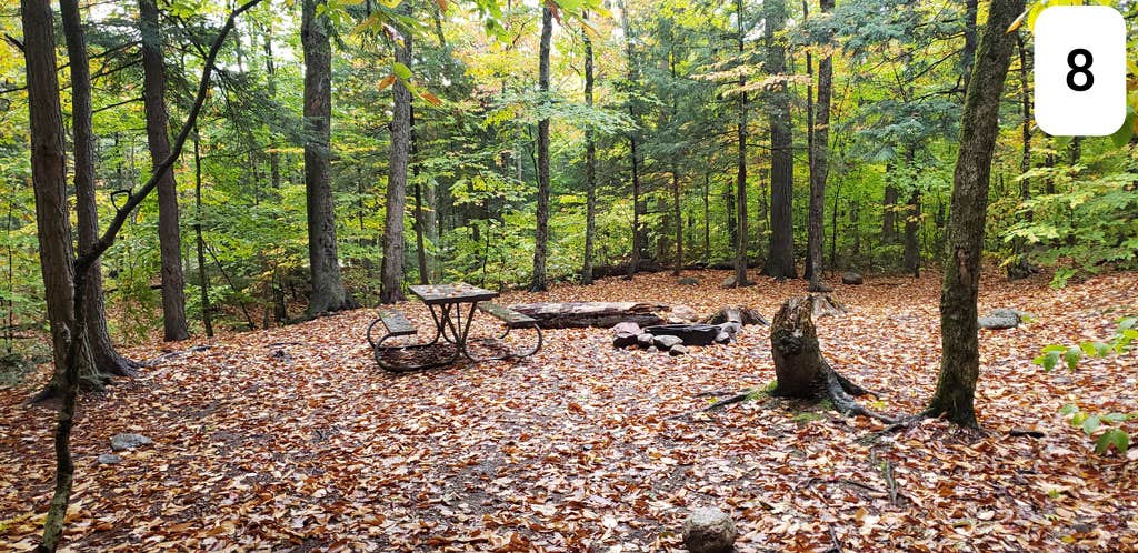 Camper-submitted photo at Fourth Iron Campground near Ashland, NH