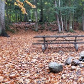 Review photo of Fourth Iron Campground by Jean C., December 28, 2020