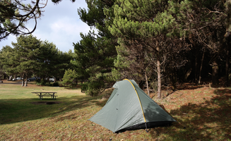 Kayko S.'s photo at Westport Recreation Park near Westport, WA