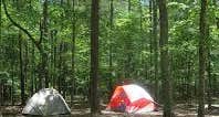 Primitive Camping By the Creek