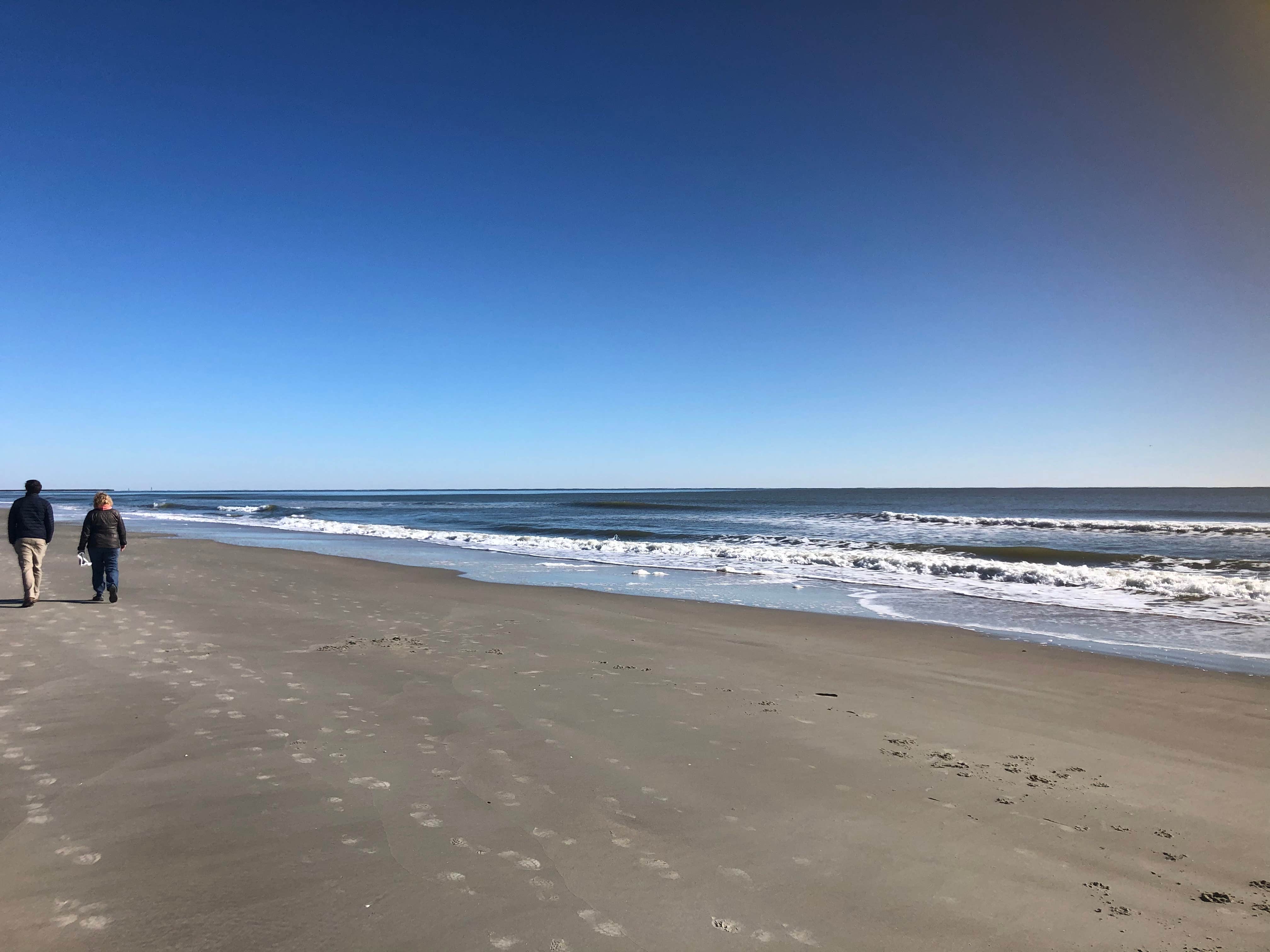 Camper-submitted photo at Huntington Beach State Park Campground in South Carolina