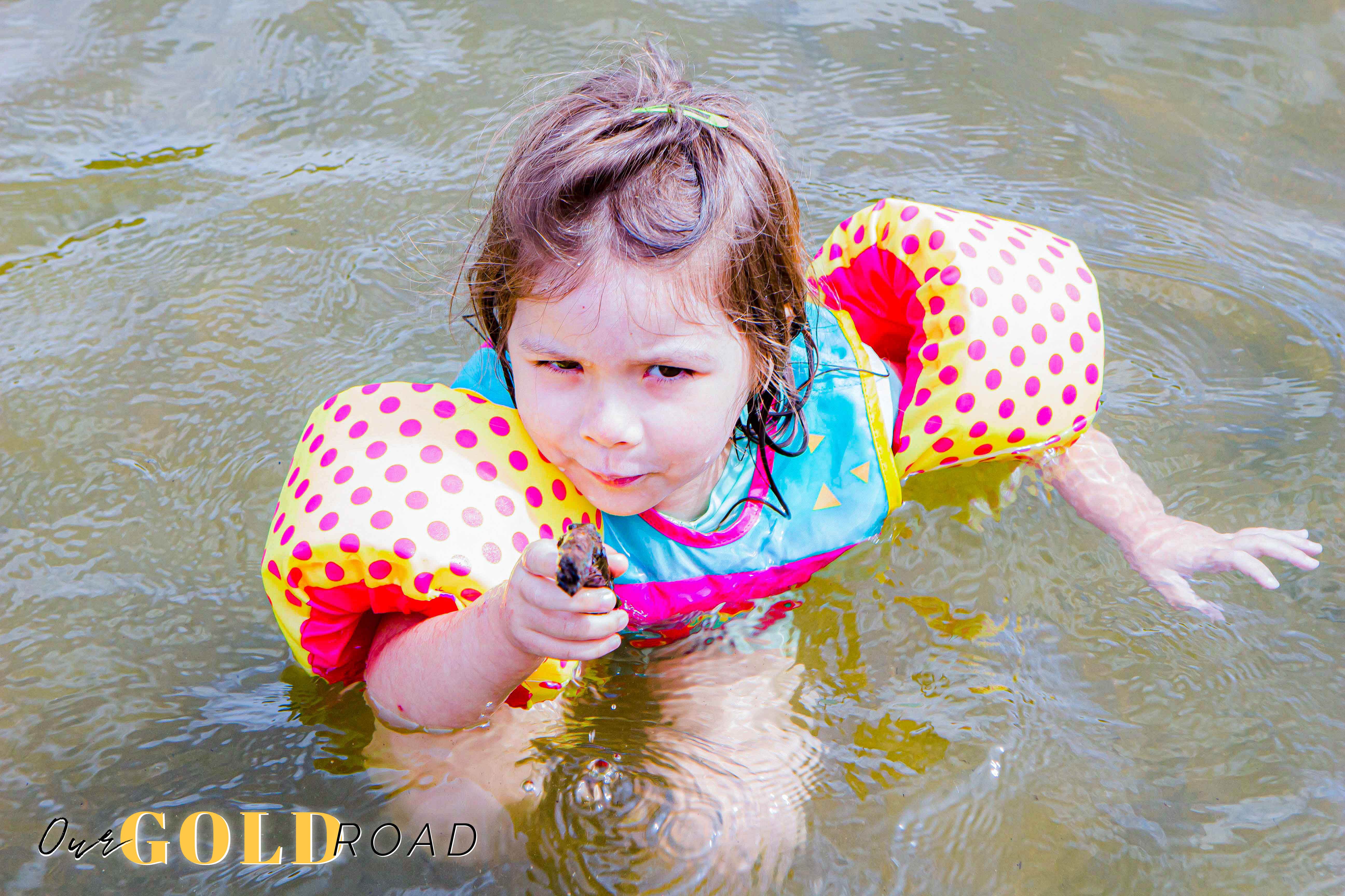 Camper-submitted photo at Lake Catherine State Park Campground in Arkansas