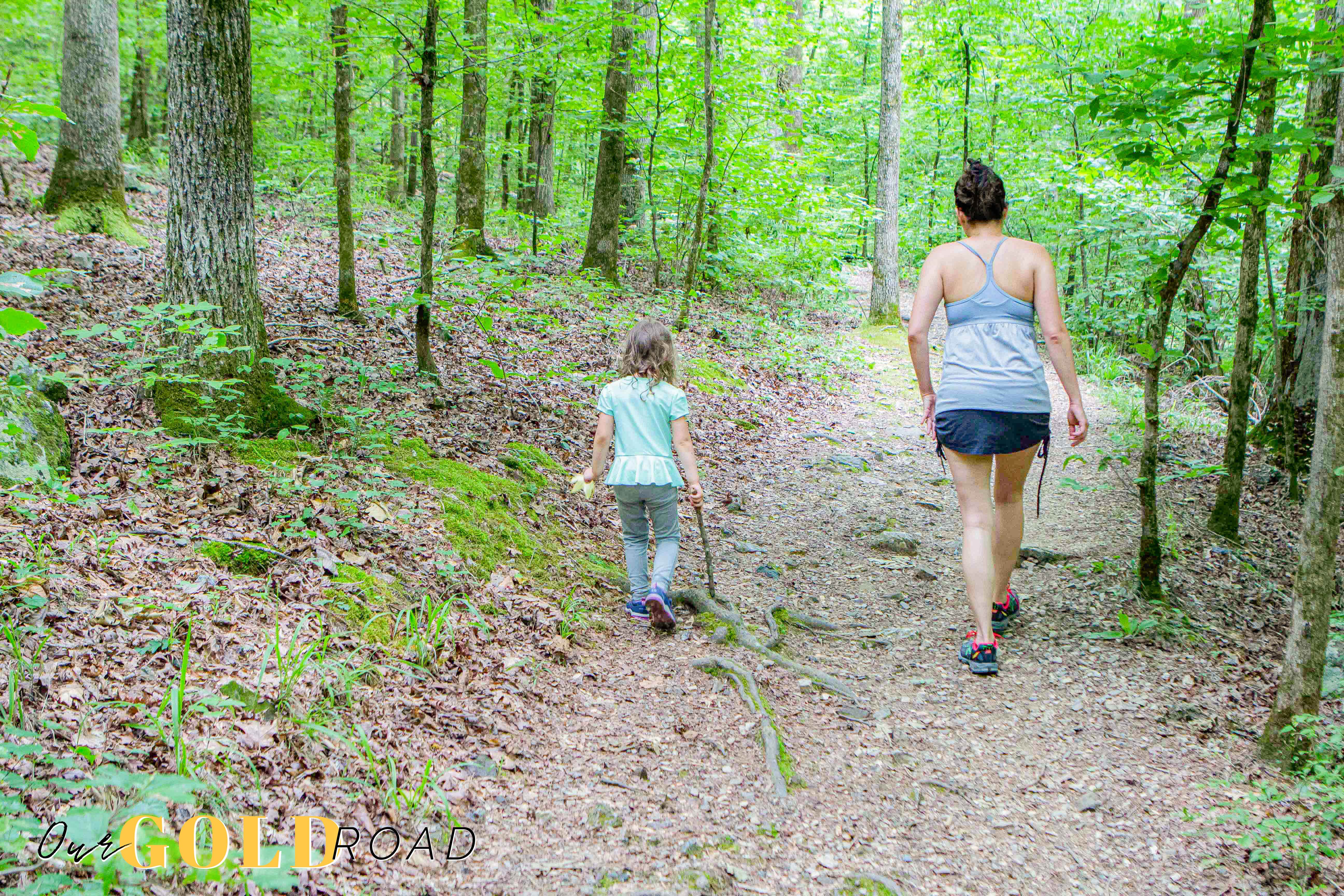 Camper-submitted photo at Lake Catherine State Park Campground in Arkansas
