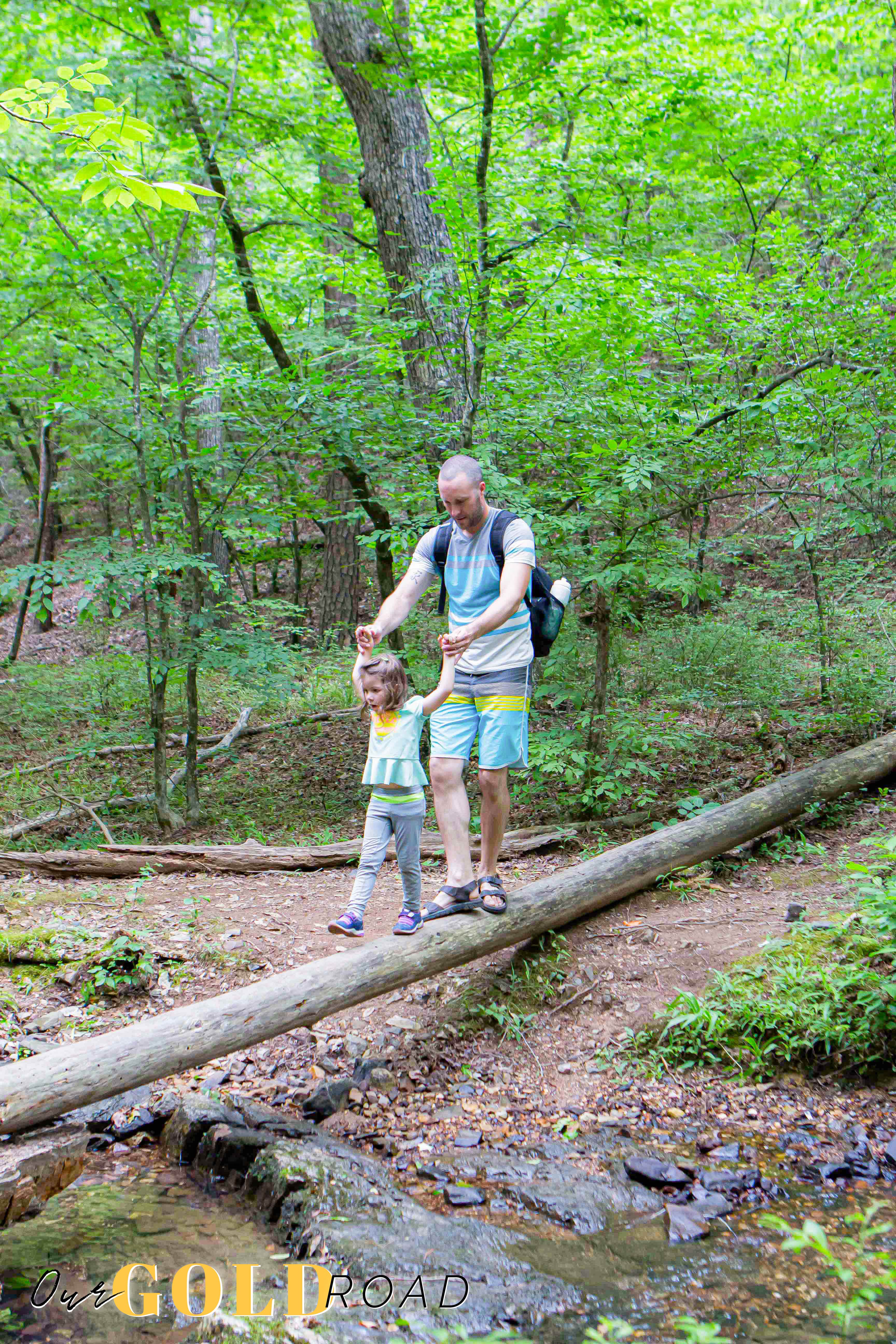 Camper-submitted photo at Lake Catherine State Park Campground in Arkansas