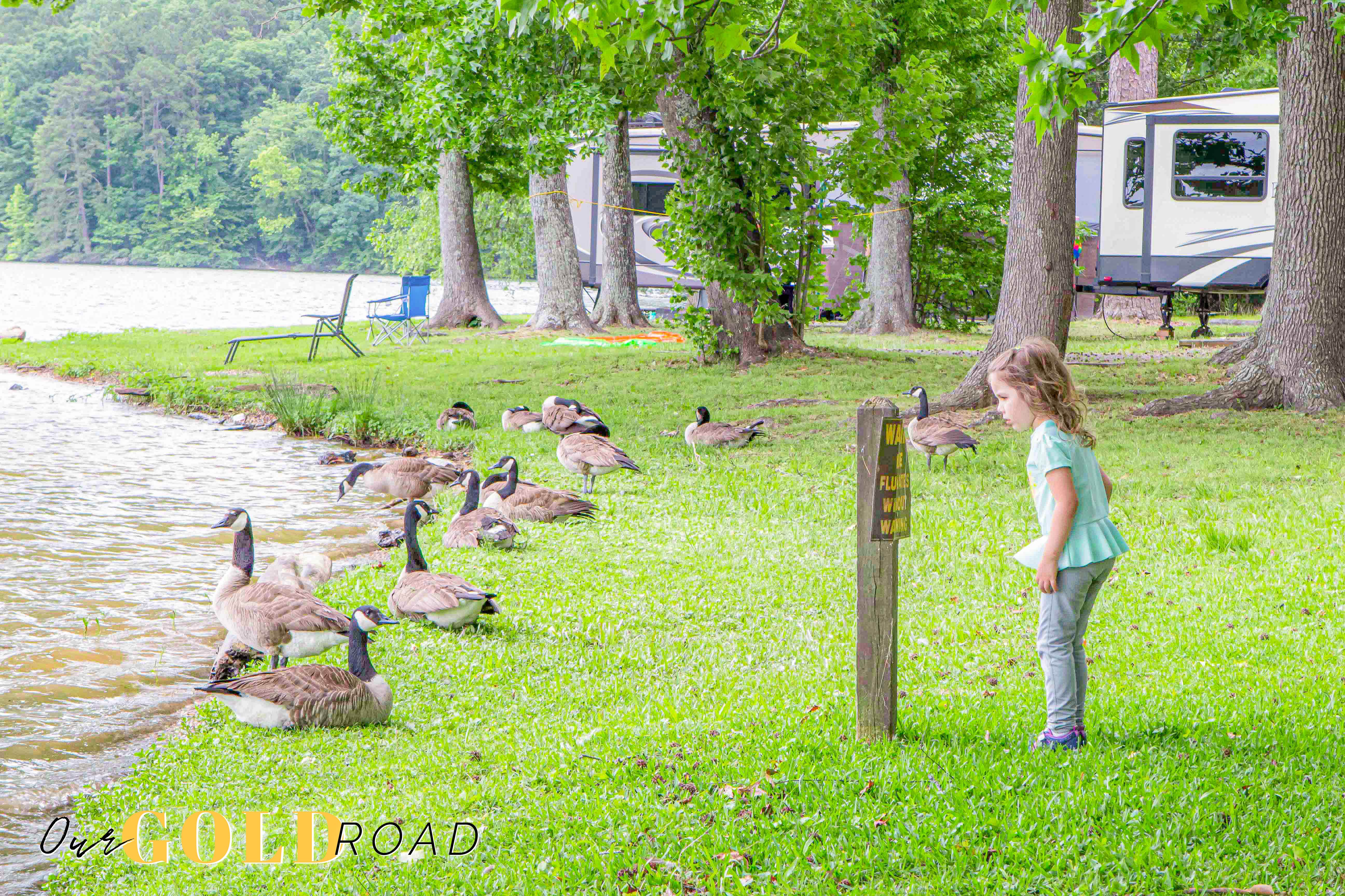 Camper submitted image from Lake Catherine State Park Campground - 1