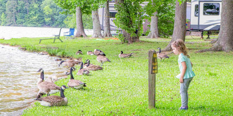 Camper submitted image from Lake Catherine State Park Campground