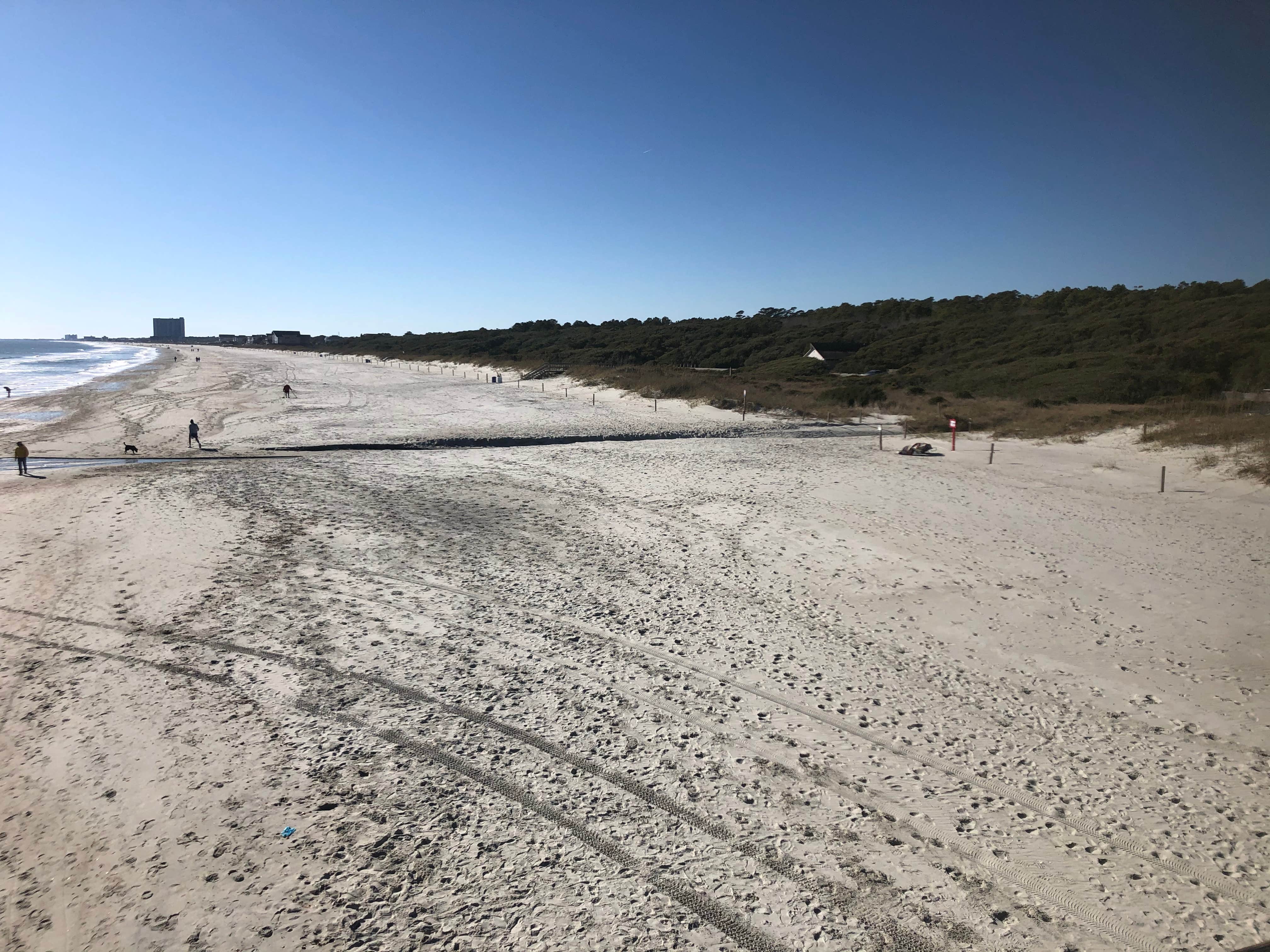 Camper-submitted photo at Myrtle Beach State Park Campground in South Carolina
