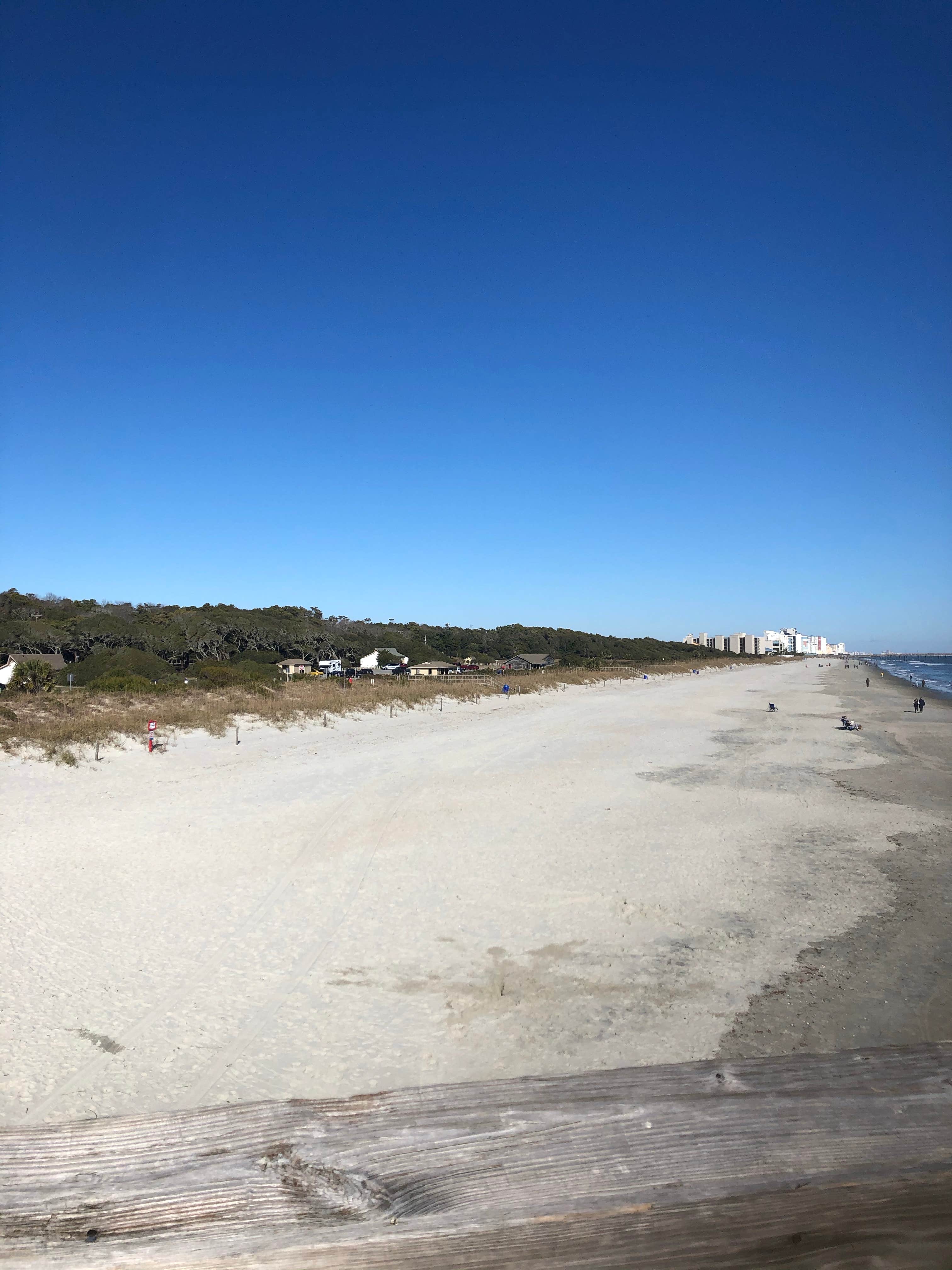 Camper-submitted photo at Myrtle Beach State Park Campground in South Carolina