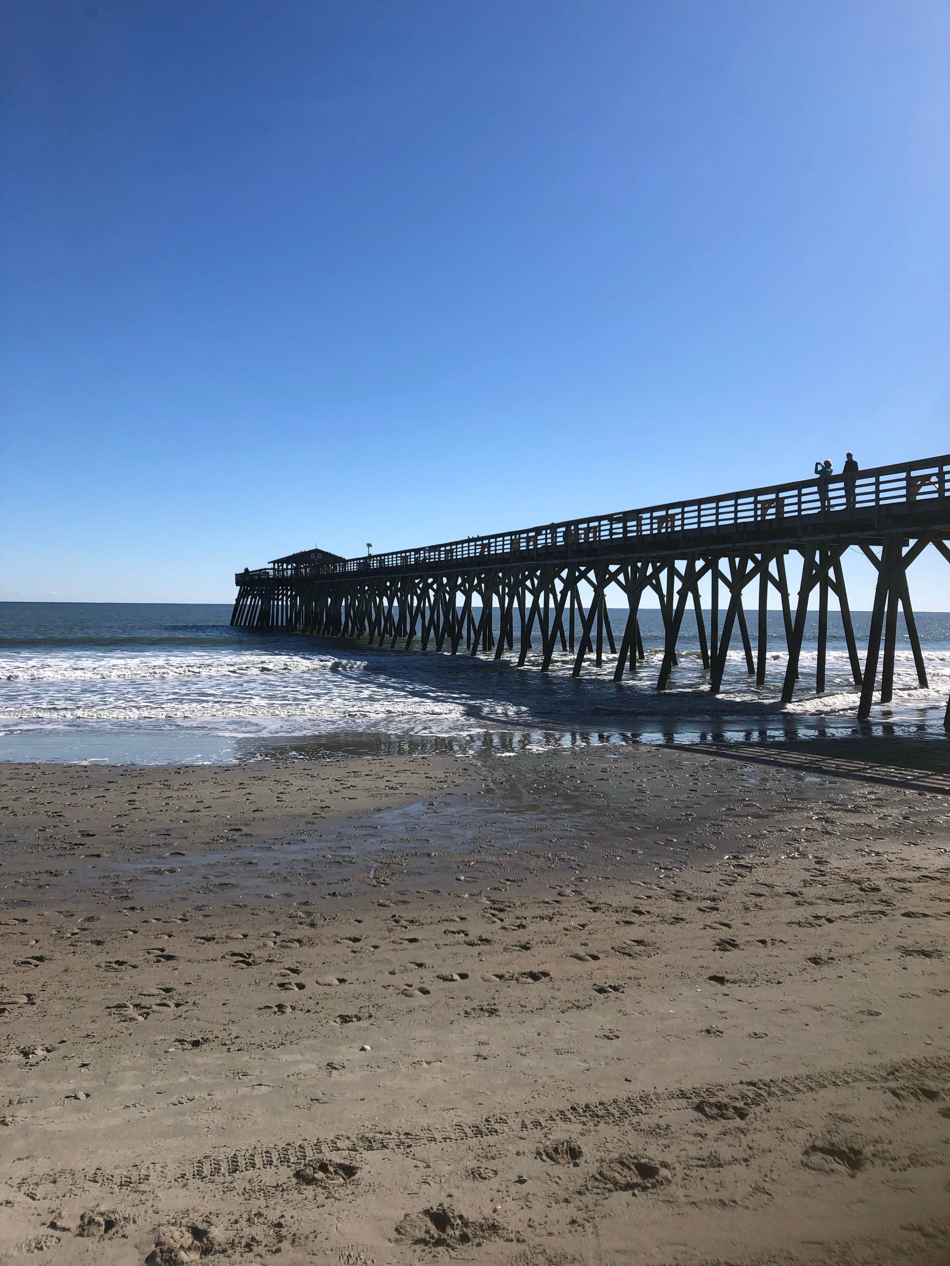 Camper submitted image from Myrtle Beach State Park Campground - 1