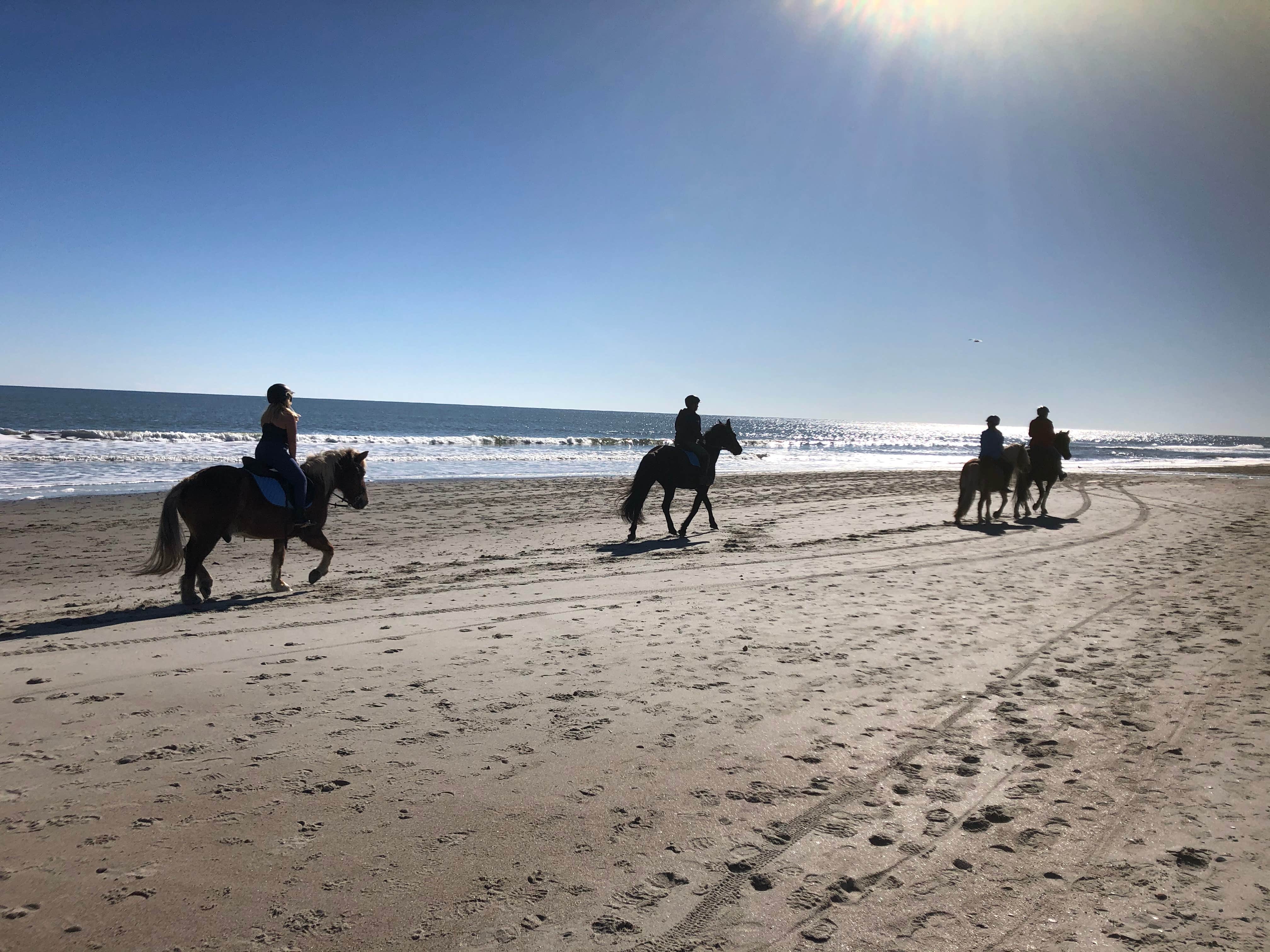 Camper-submitted photo at Myrtle Beach State Park Campground in South Carolina