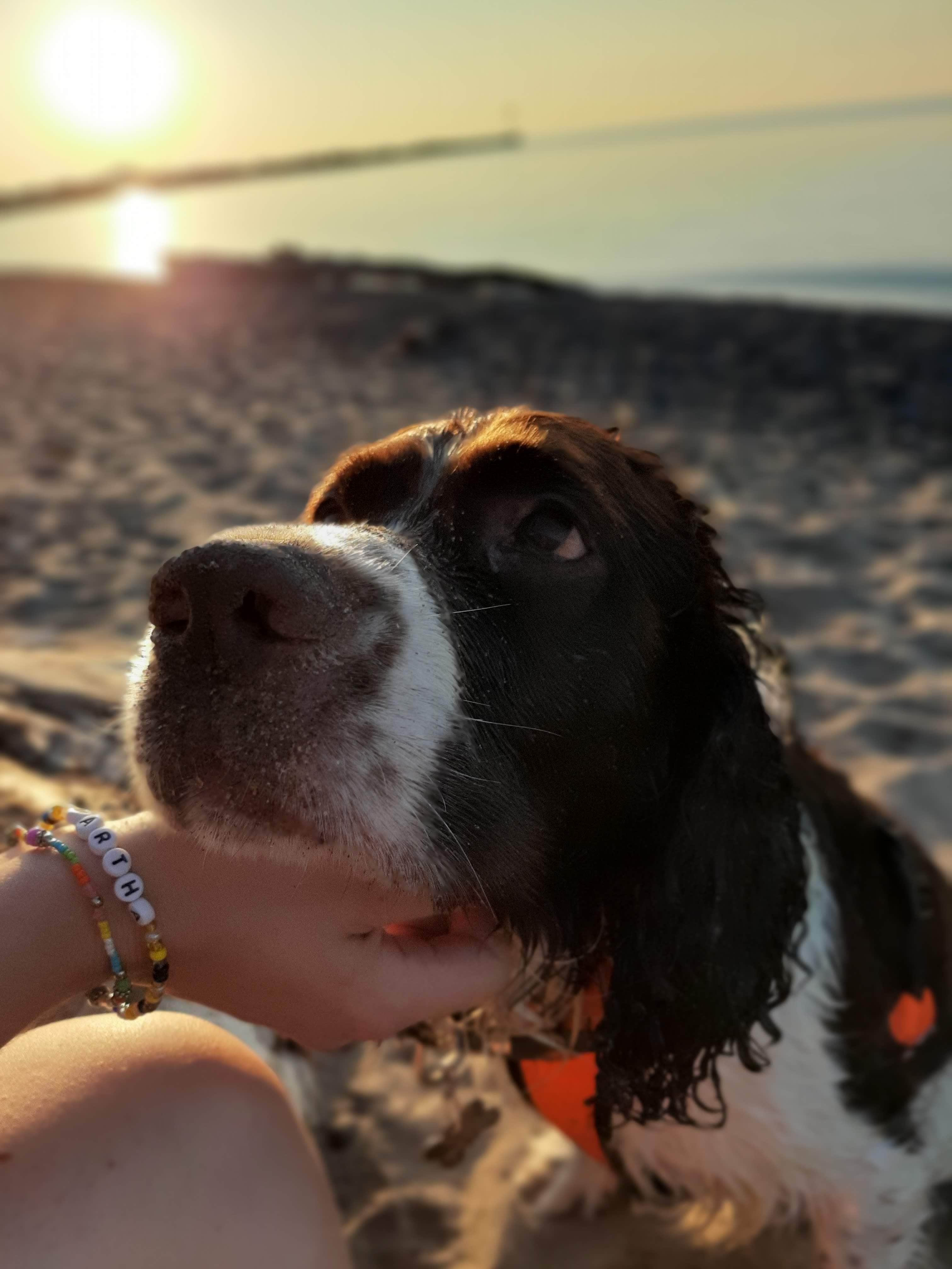 peppergurl B.'s photo of camping with pets at Black River Harbor Campground near Ironwood, MI