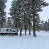 Review photo of Tom Best Spring Road FR117 Dispersed - Dixie National Forest by Emma A., December 28, 2020