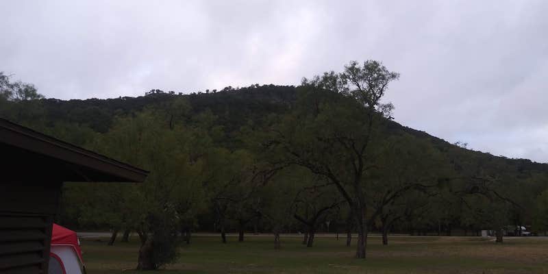Camper submitted image from Live Oak — Garner State Park