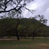 Review photo of Live Oak — Garner State Park by Chad  L., December 28, 2020