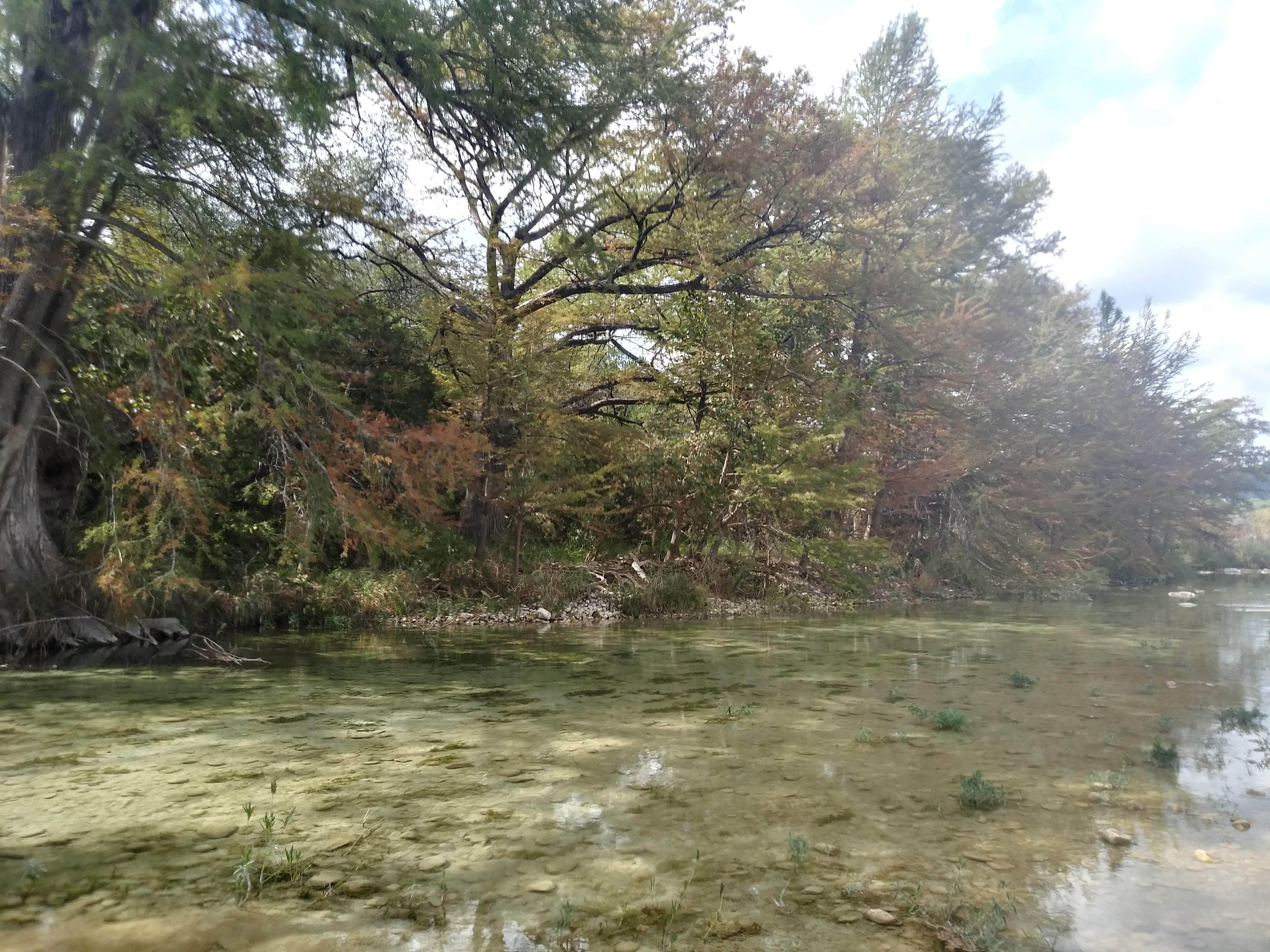 Camper-submitted photo at Live Oak — Garner State Park near Vanderpool, TX