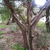 Review photo of Inks Lake State Park Campground by Chad  L., December 28, 2020