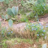 Review photo of Inks Lake State Park Campground by Chad  L., December 28, 2020